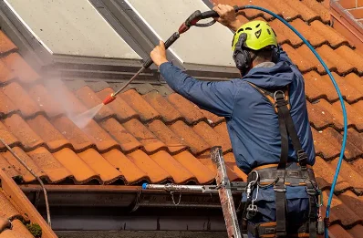 Démoussage et hydrofuge de toiture à Pierre-Châtel